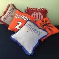 College T-Shirt Pillows